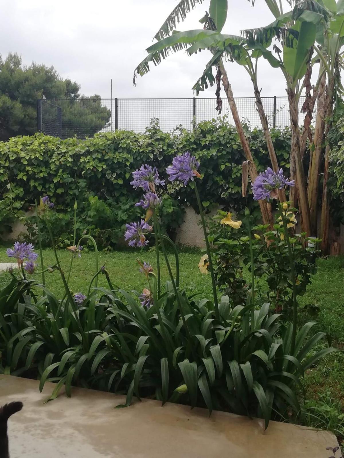 Casa Cunaci Bed & Breakfast