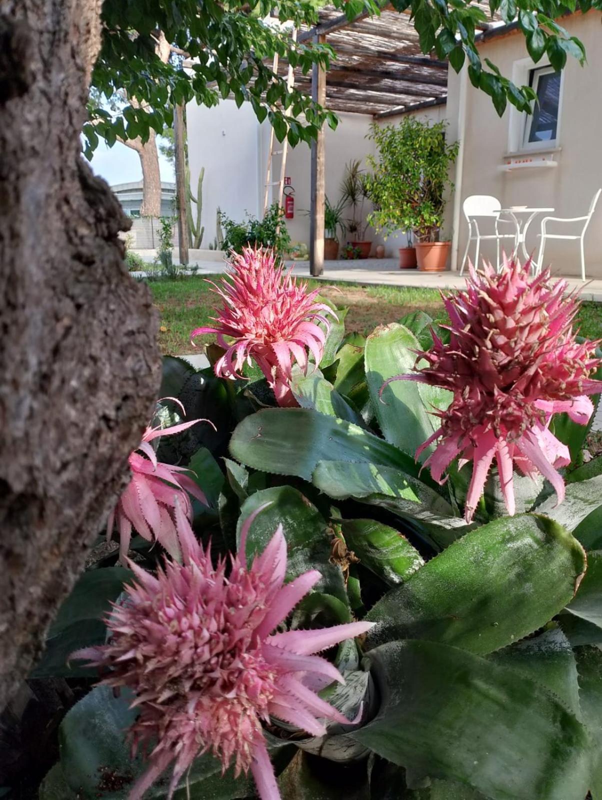 Bed & Breakfast Casa Cunaci