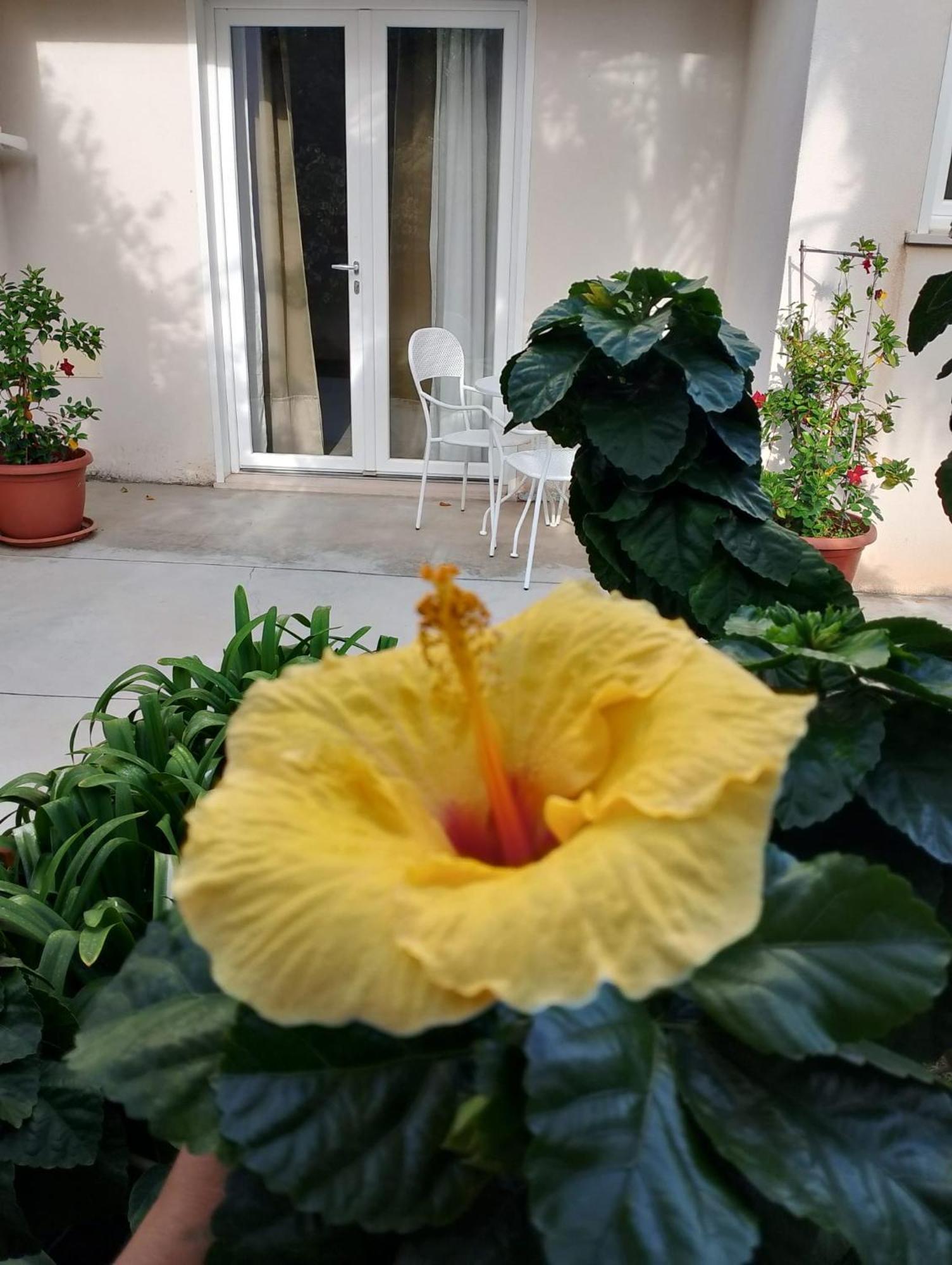 Casa Cunaci Bed & Breakfast *