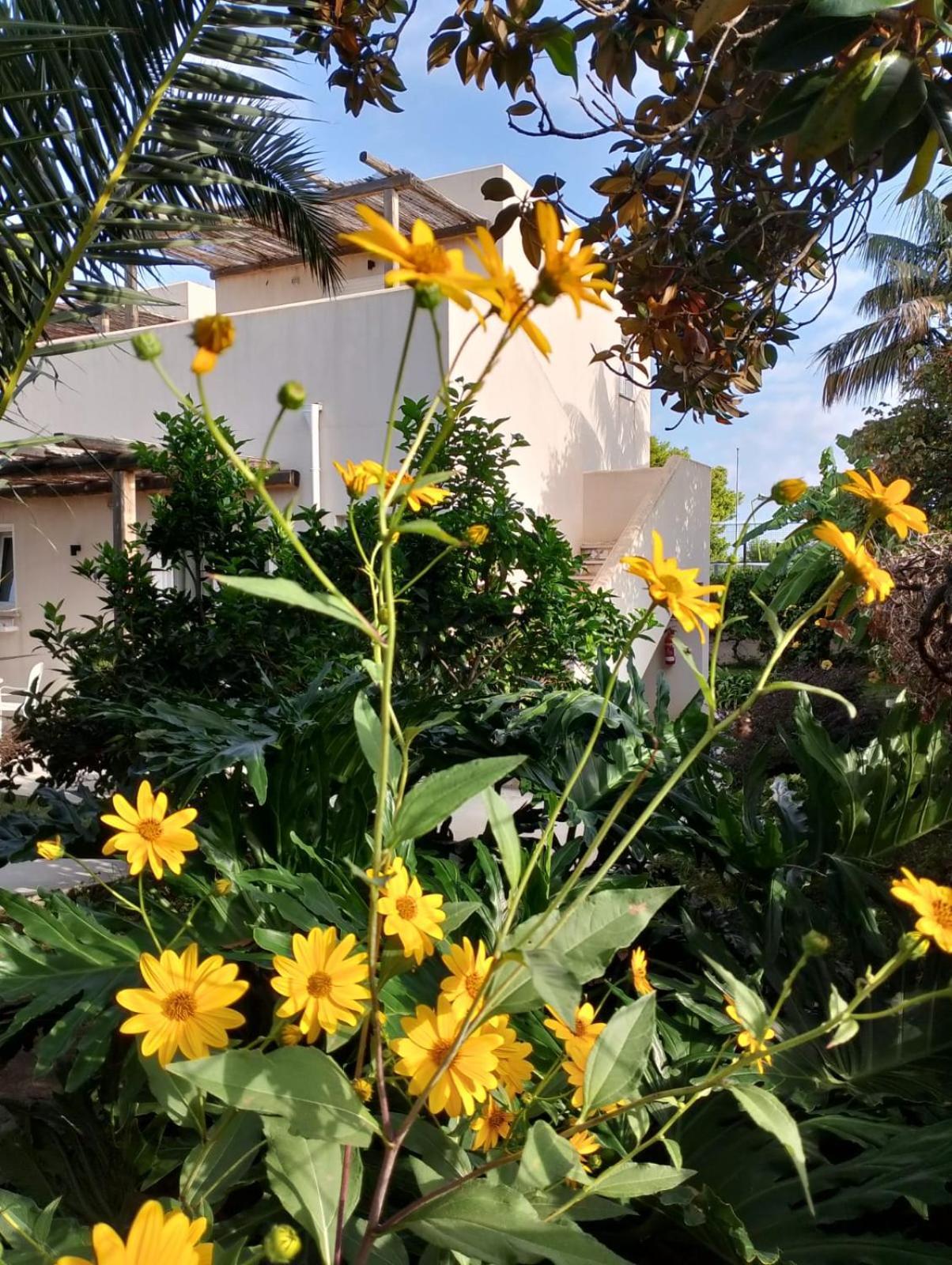 Bed & Breakfast Casa Cunaci Capo Vaticano